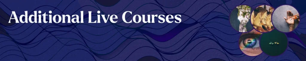 Live Courses - Fluence