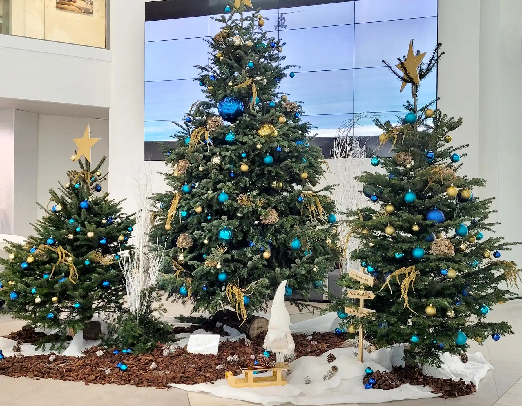 Image de Converture décoration de noel