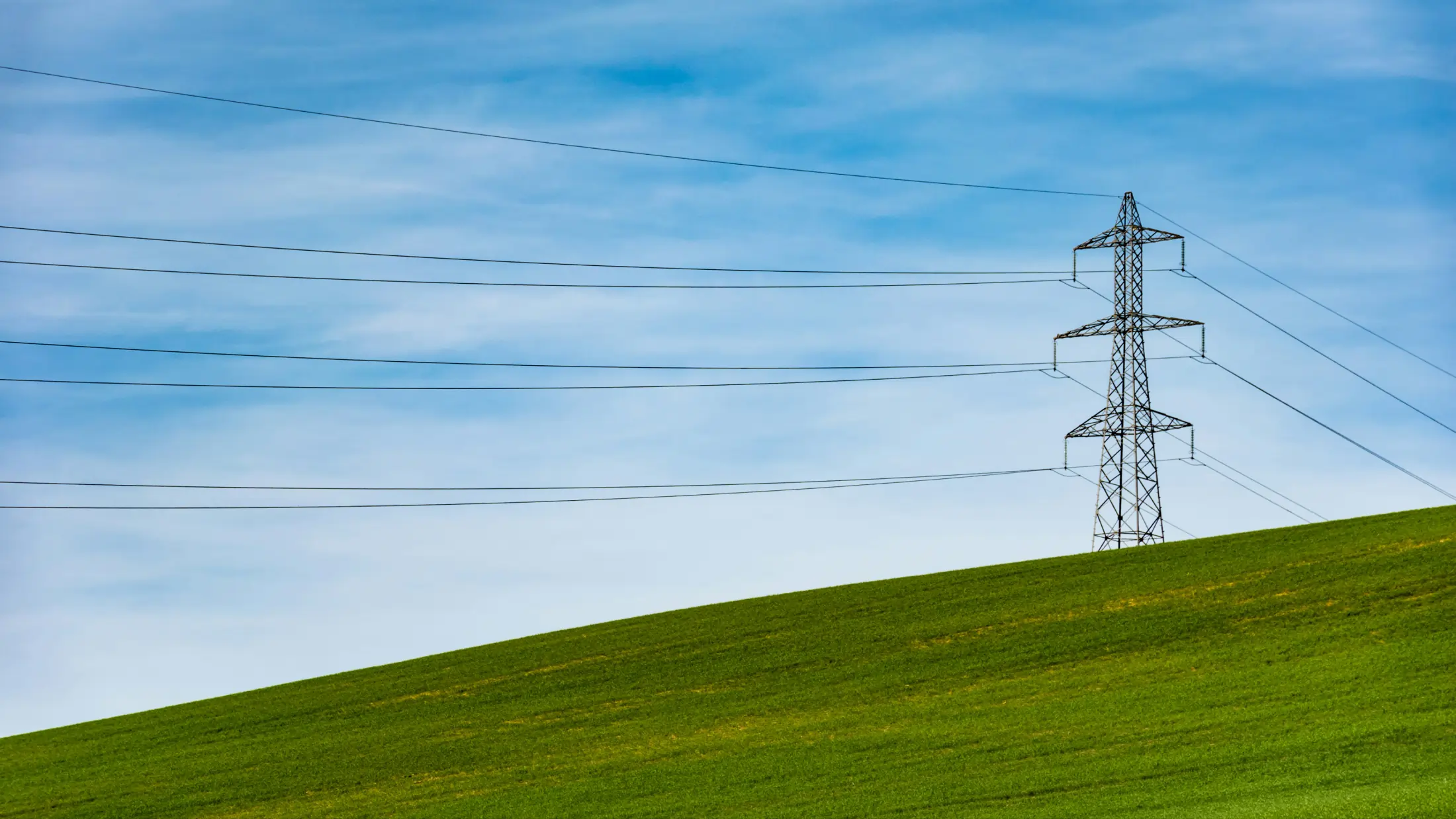 Industry landscape