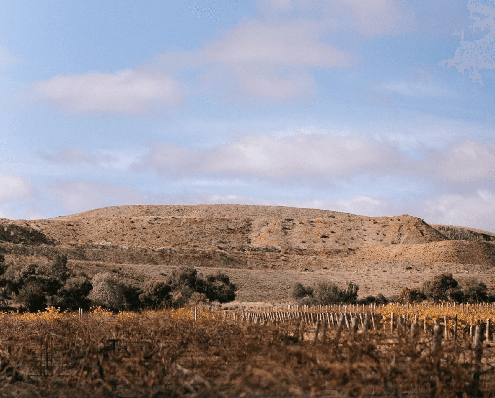 Rolling dry hills and autumn-coloured vineyard rows under a blue sky with scattered clouds