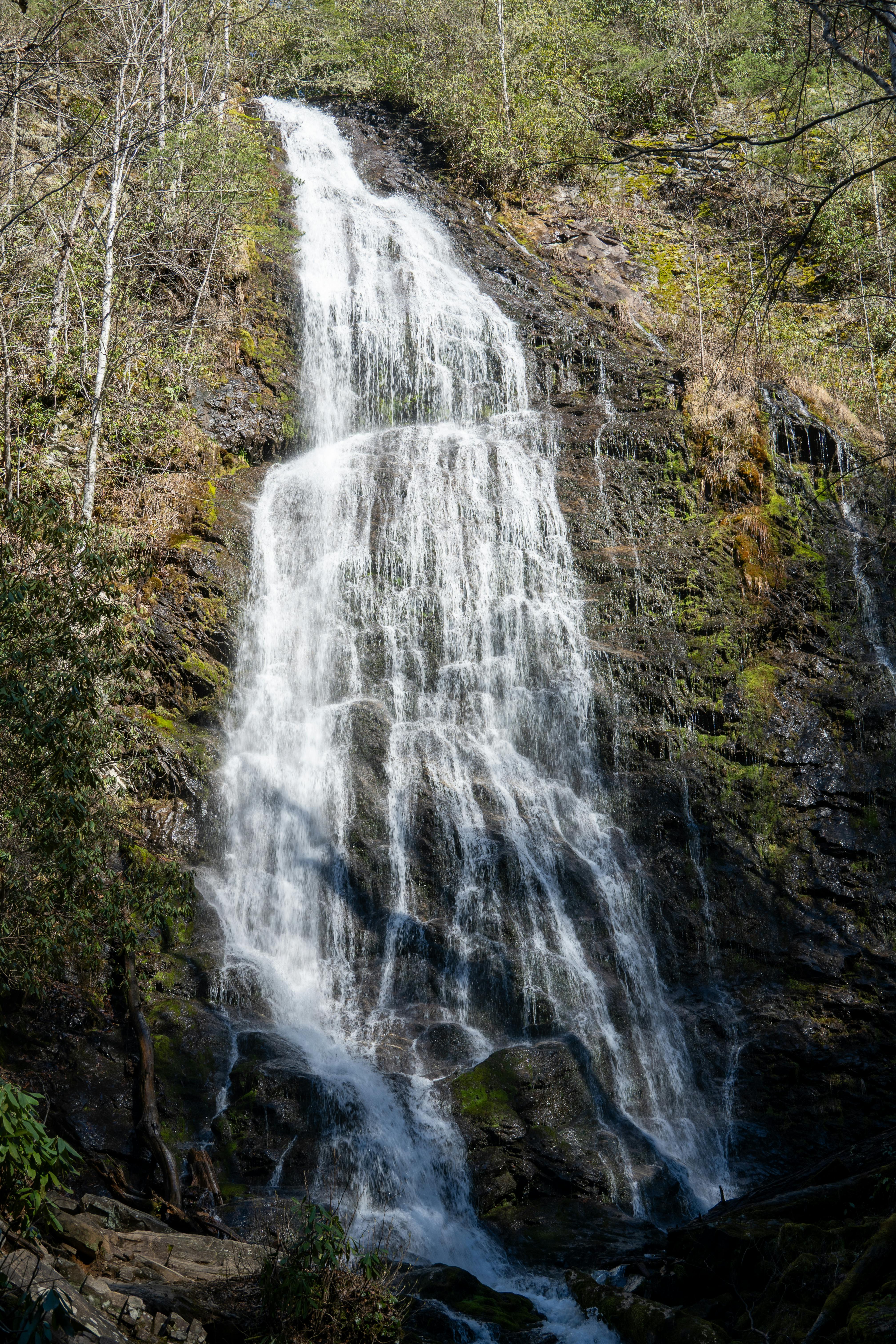 The BEST Hidden Gem Activities Near Pigeon Forge