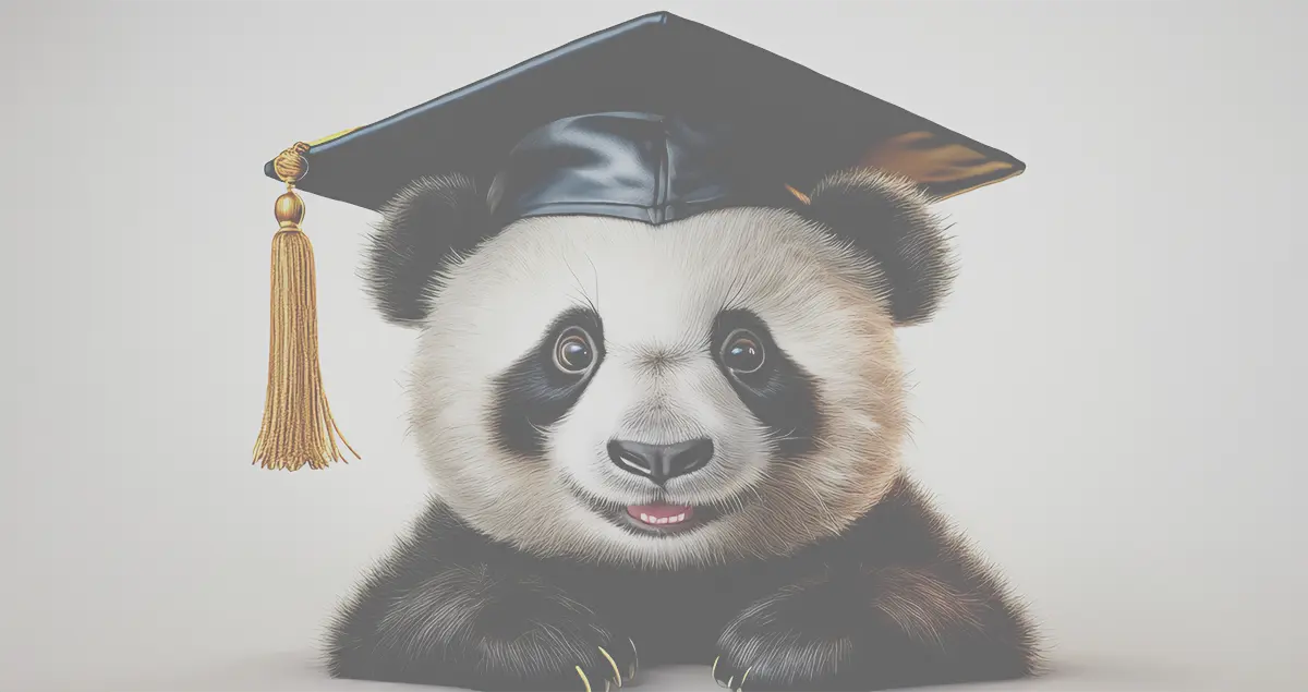 Primeros pasos en Panda Video: Cómo maximizar tus VSL y cursos