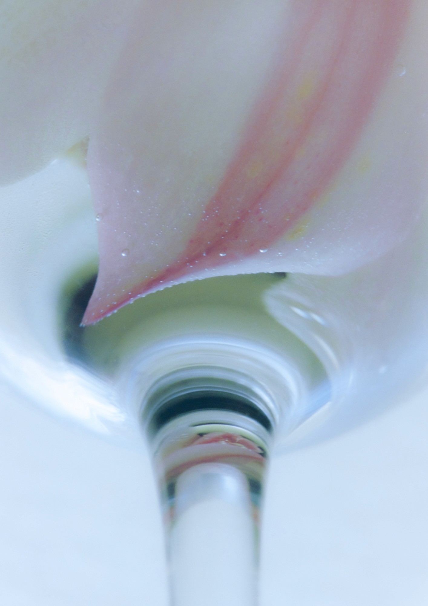 Taisei Matsumoto, 2023 exhibition work 011