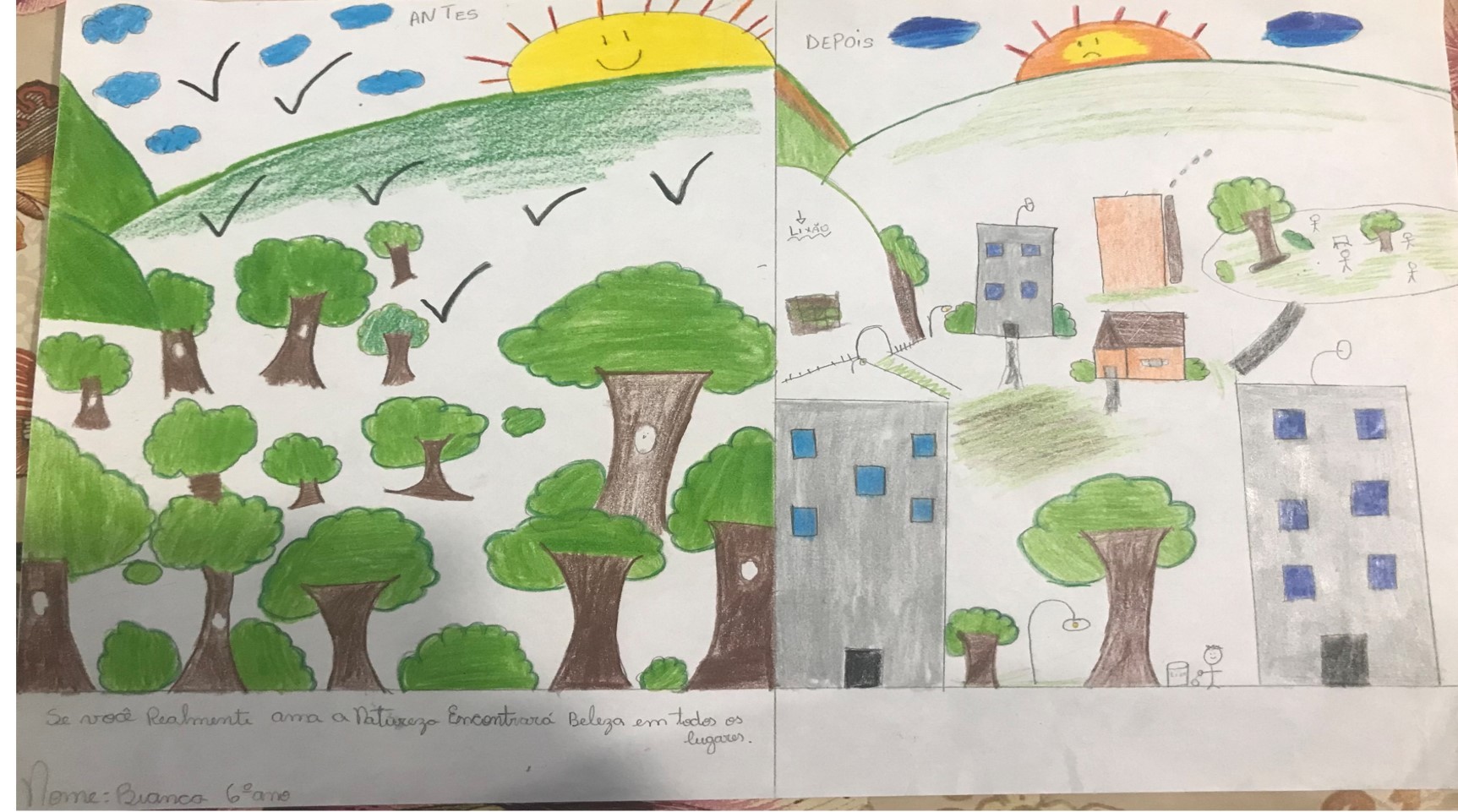 Desenho escolar compara paisagem com muitas árvores e outra com prédios e poucas árvores