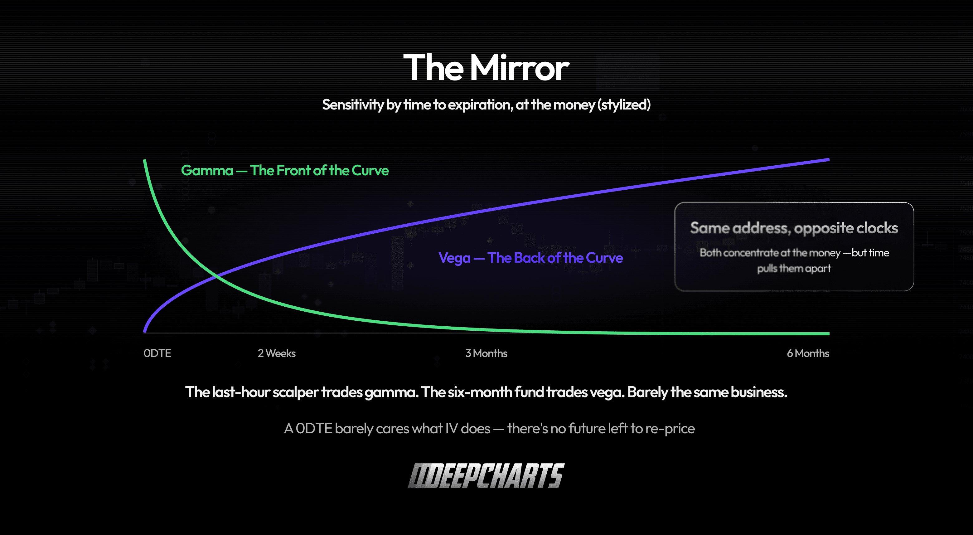 Vega Options. Vega grows with time to expiration while gamma concentrates near expiration, separating the back and front of the volatility curve