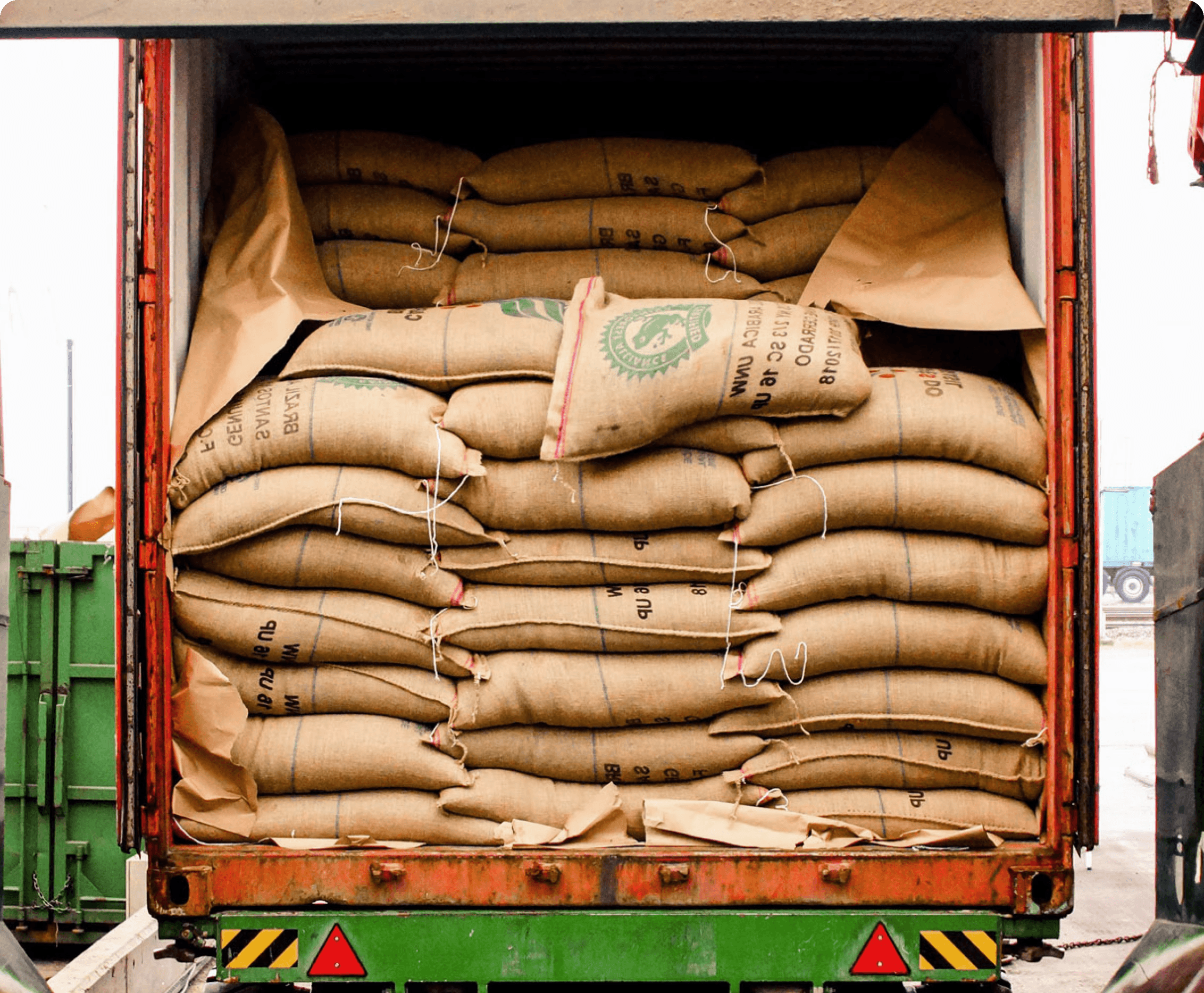 Container full of green specialty coffee sacks