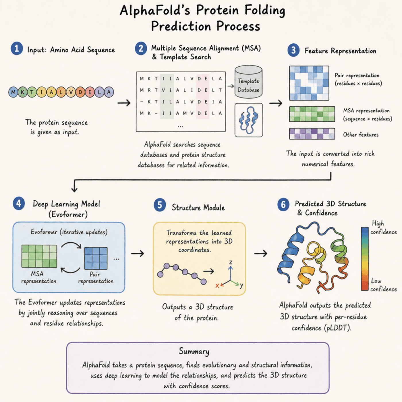 Illustration of AlphaFold's protein folding prediction process
