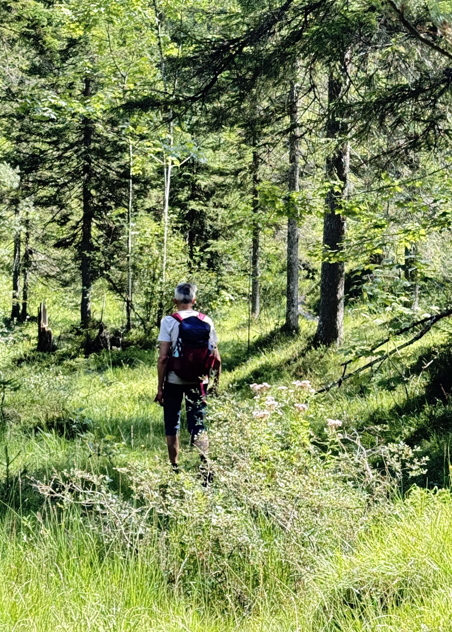 mountaineering,-man,-trail,-path,-mountains,-male-mountaineer,-wanderer,-backpac - hermann (pixabay)