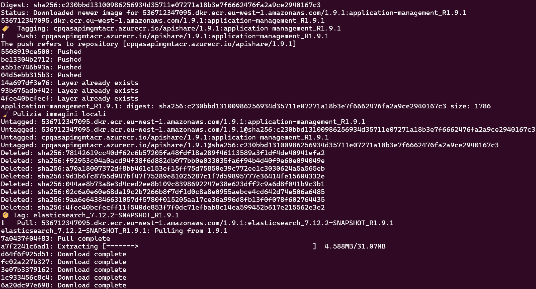 Terminal output of the pull and push script copying the images to the destination registry