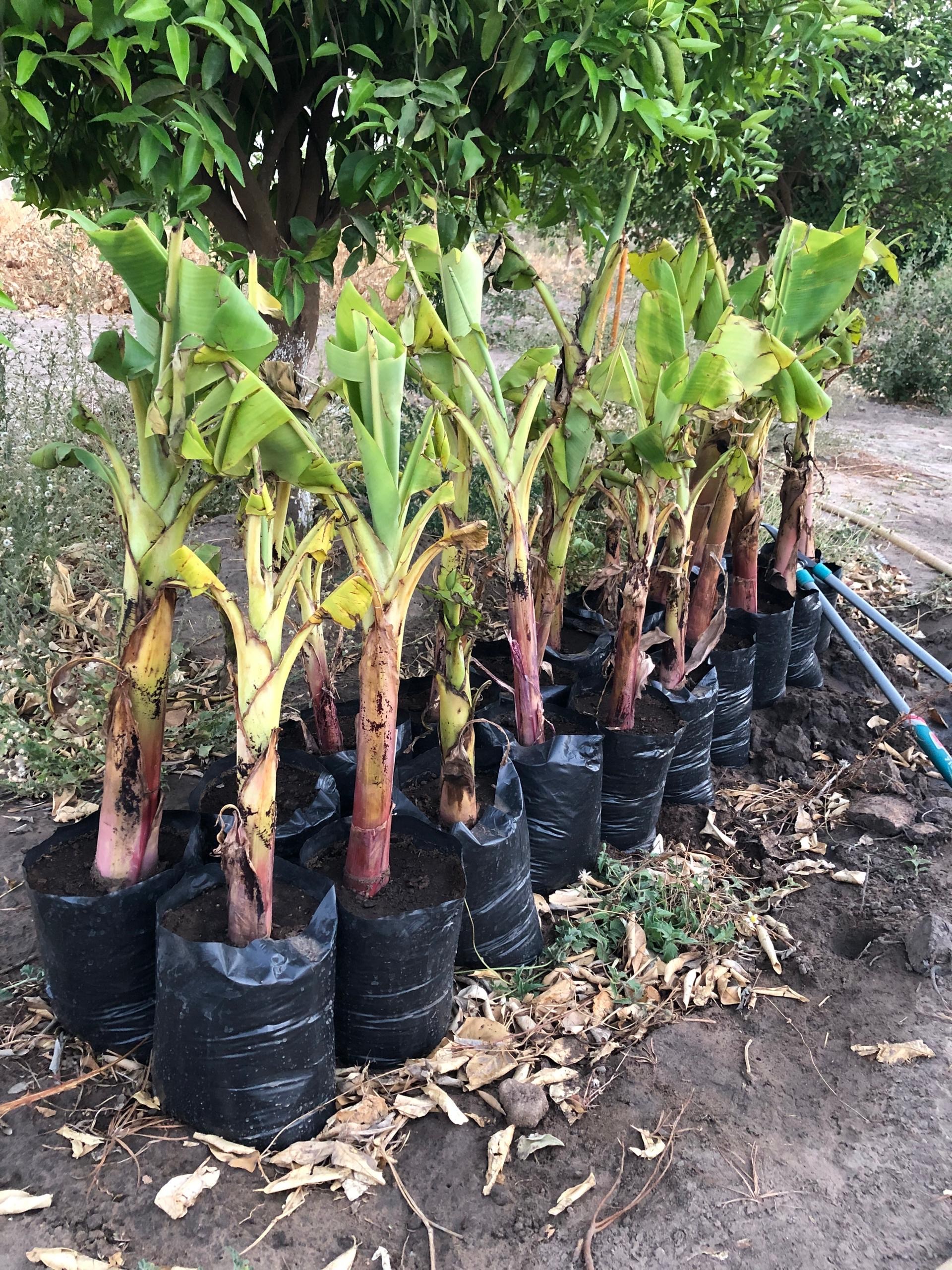 Lab technician kept a small chemical bottle in a stand
