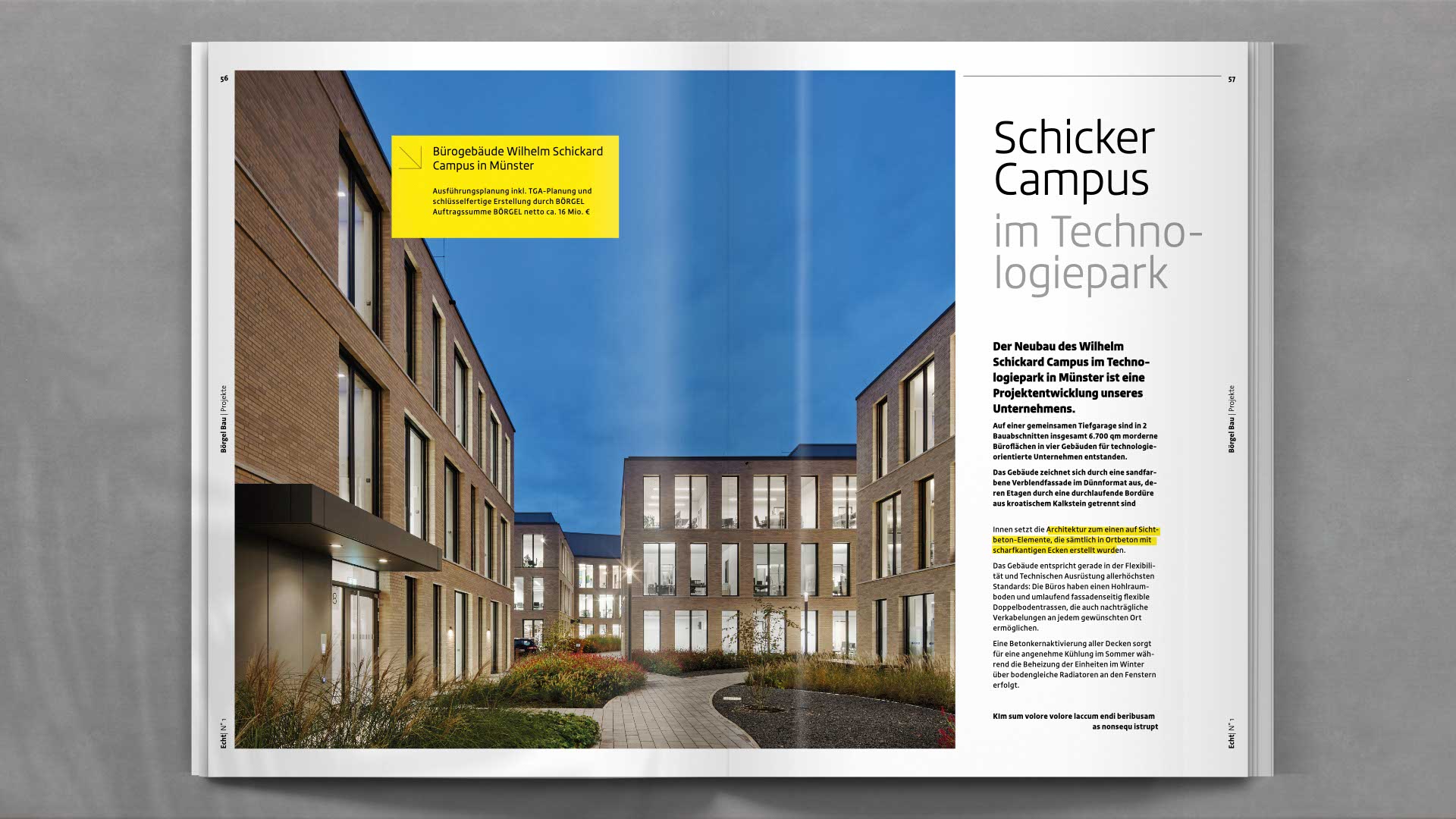 Themenseite zu internationalen Projekten von Börgel Bau – visuell stimmig inszeniert mit Weltkarte, Icons und Bildern aus dem Auslandseinsatz.