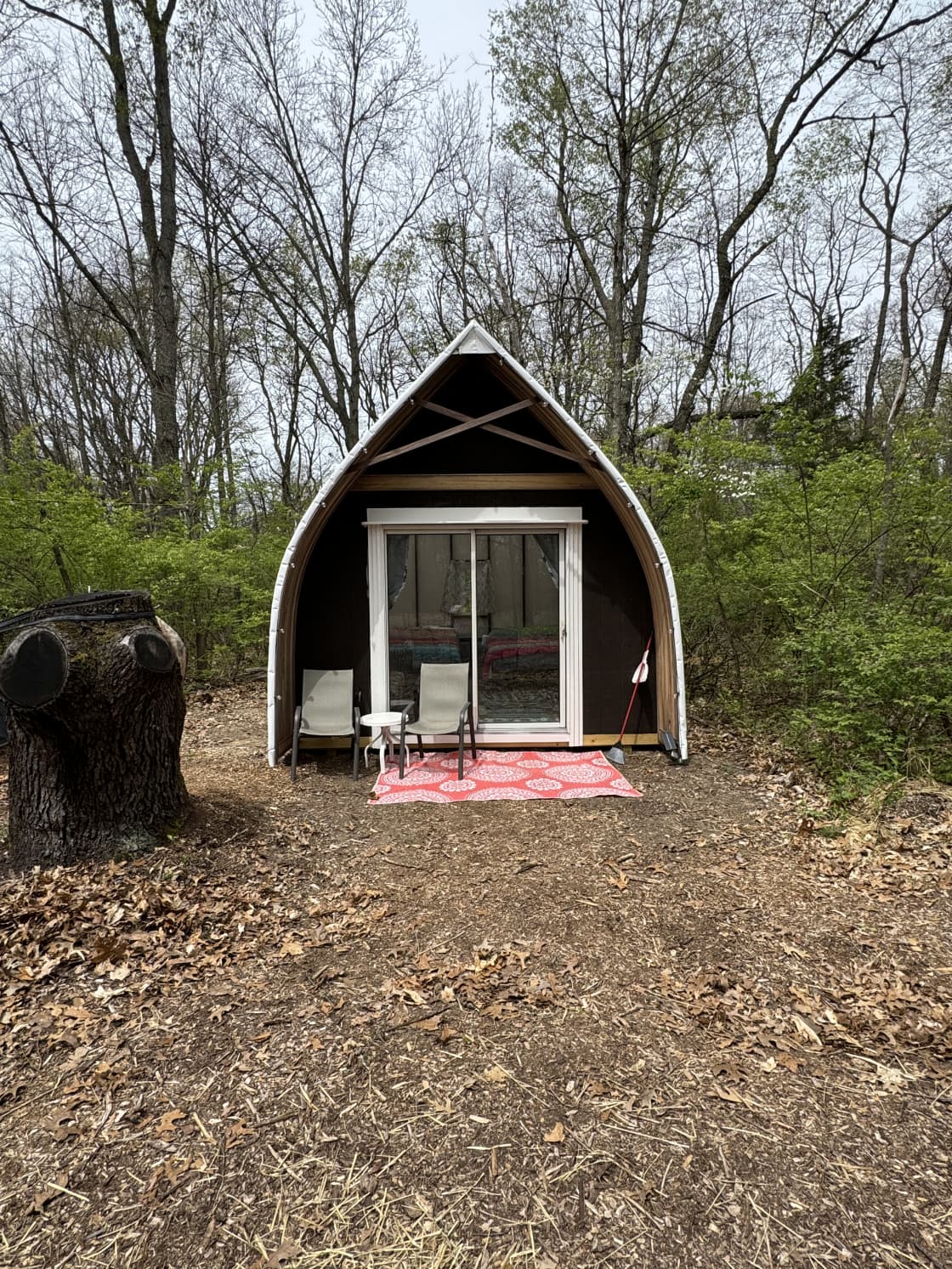 A yurt in the middle of a forest