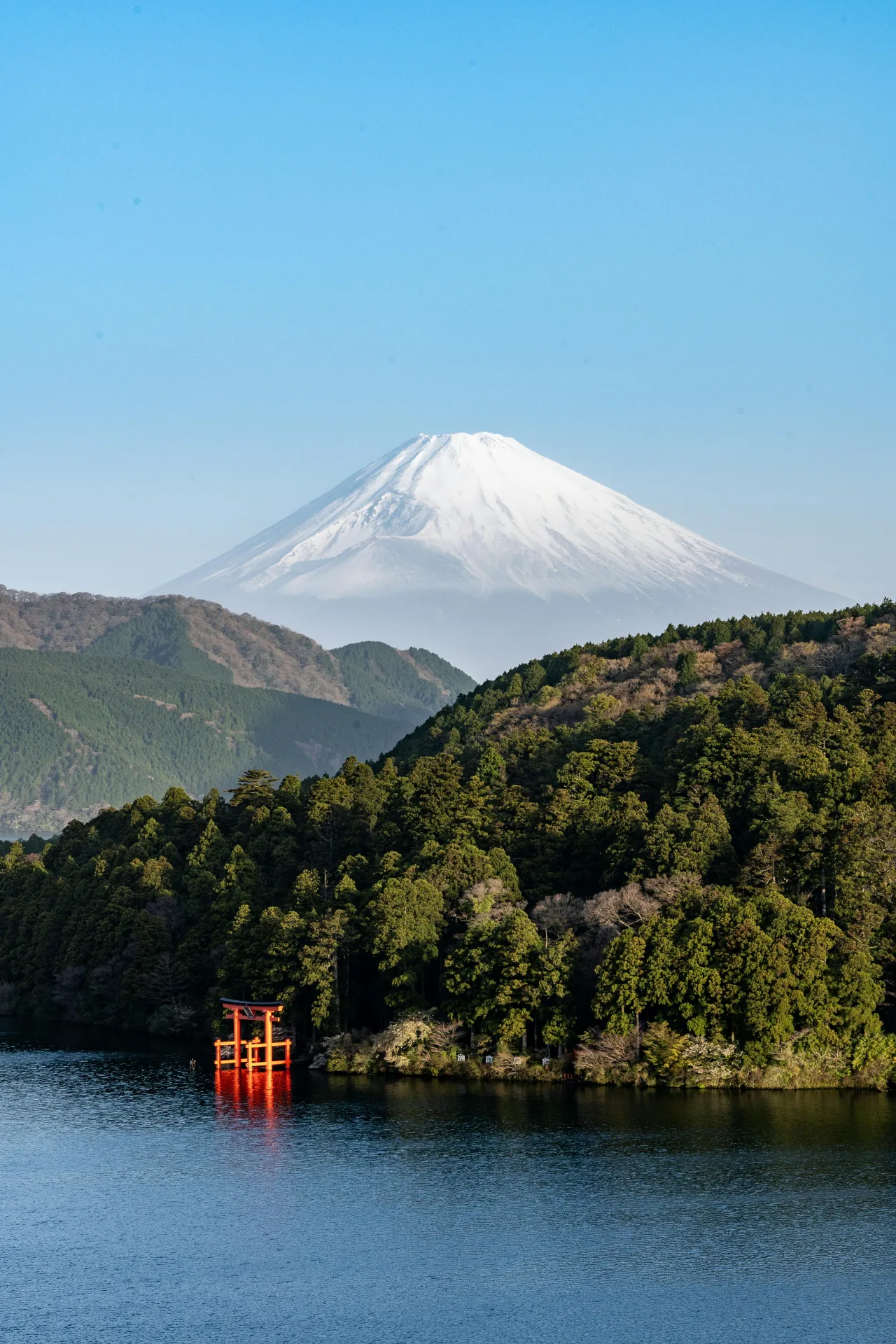 A traditional Japanese temple surrounded by blossoming cherry trees