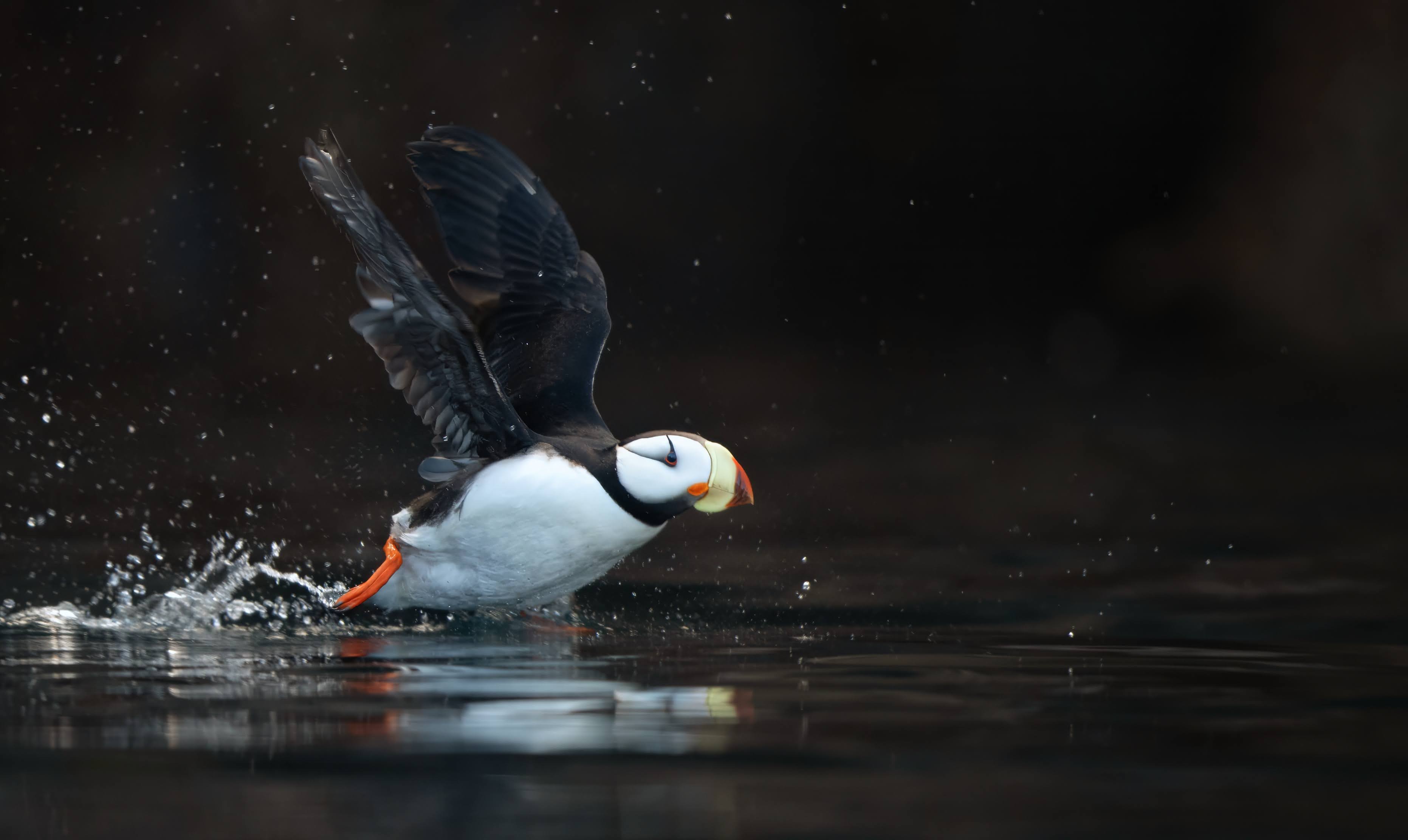 Photo of Irene in a neon scene