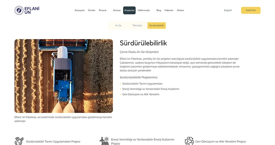 website mockup research & development