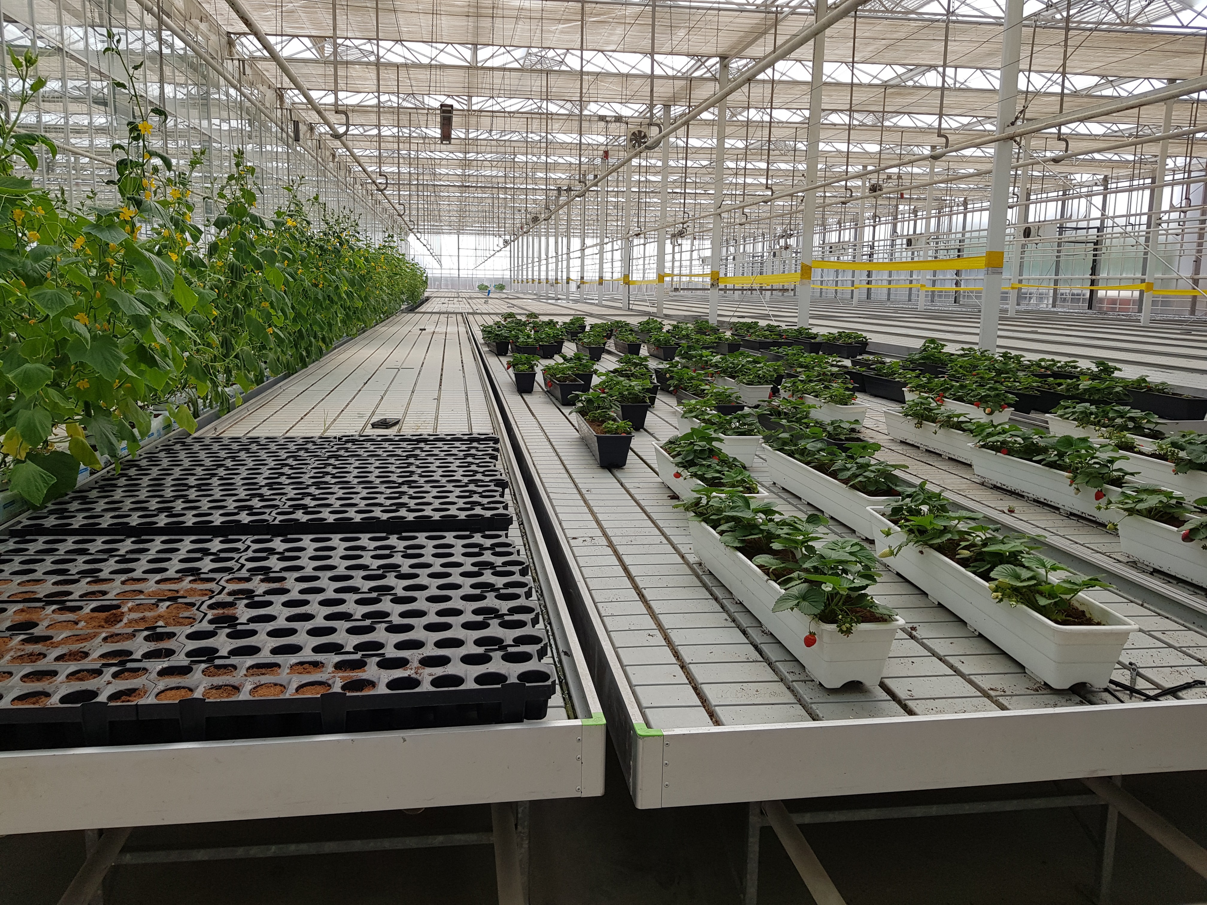 Horti XS projects Nature’s Miracle