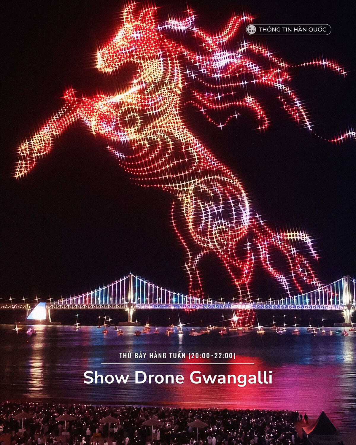 Show drone Gwangalli tạo hình 3D trên nền cầu Gwangan, Busan về đêm