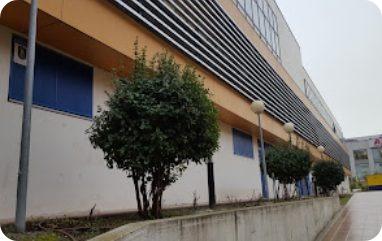 CD Loyola de Palacio