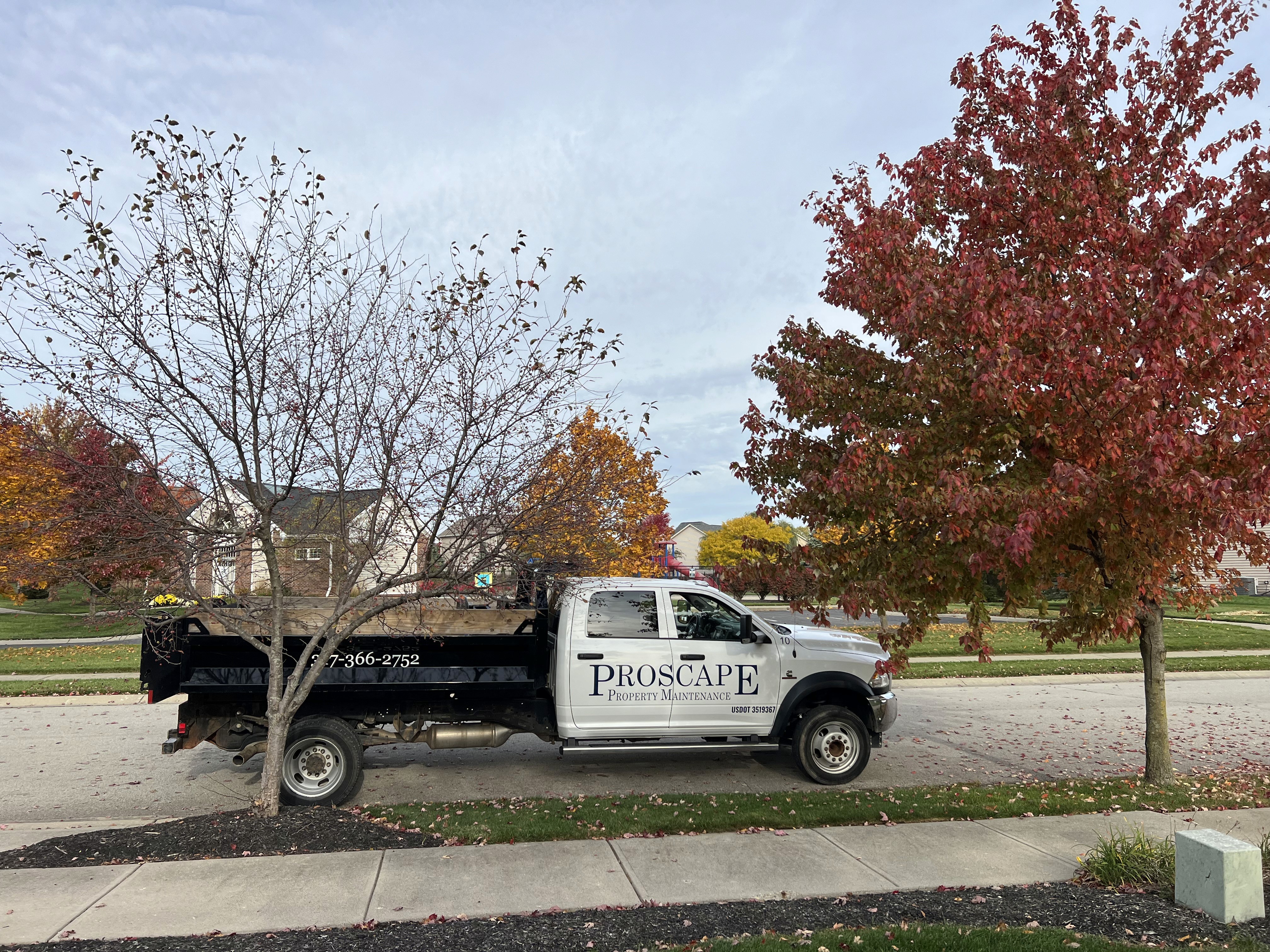 Testimonial Author Image