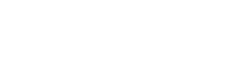 Logoipsum brand logo with a sunburst star icon.