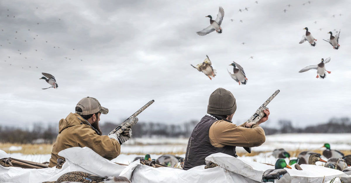 Bellevoire hotel location