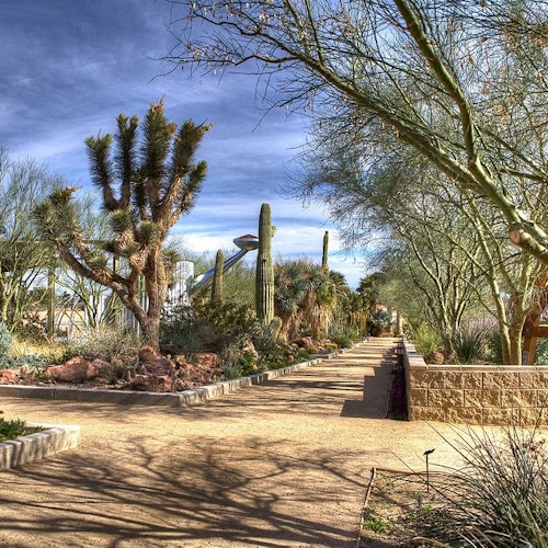 A desert garden path lined with cacti and trees under a partly cloudy sky.