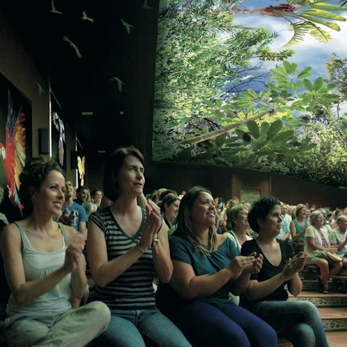 Loro Parque: Vstupenka + Diamond Pass vstupenky v Puerto De La Cruz