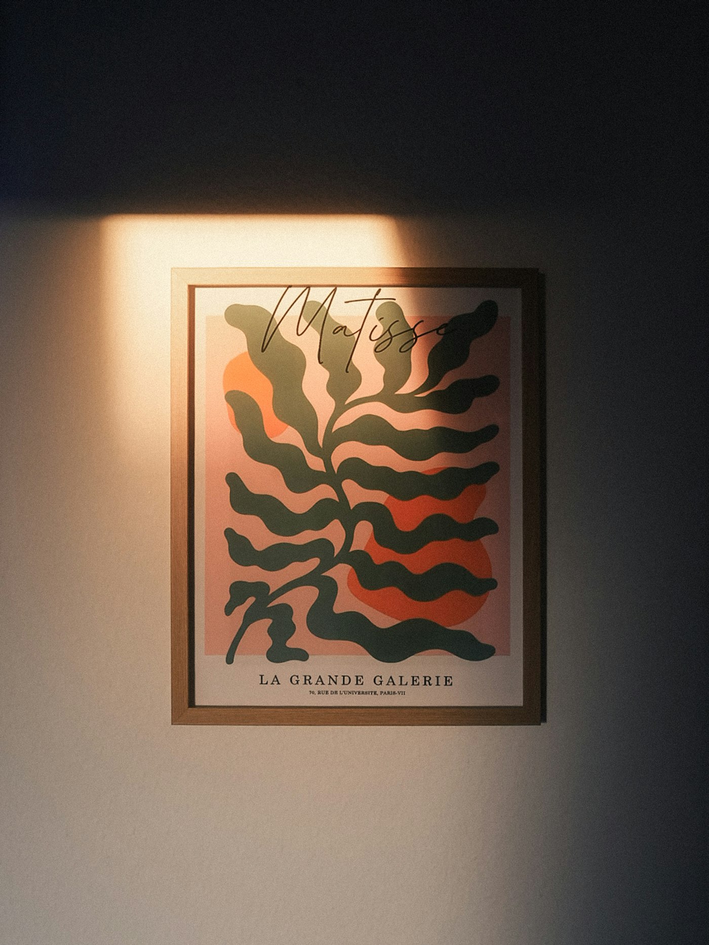 Framed botanical print on the studio wall caught in a beam of late sunlight