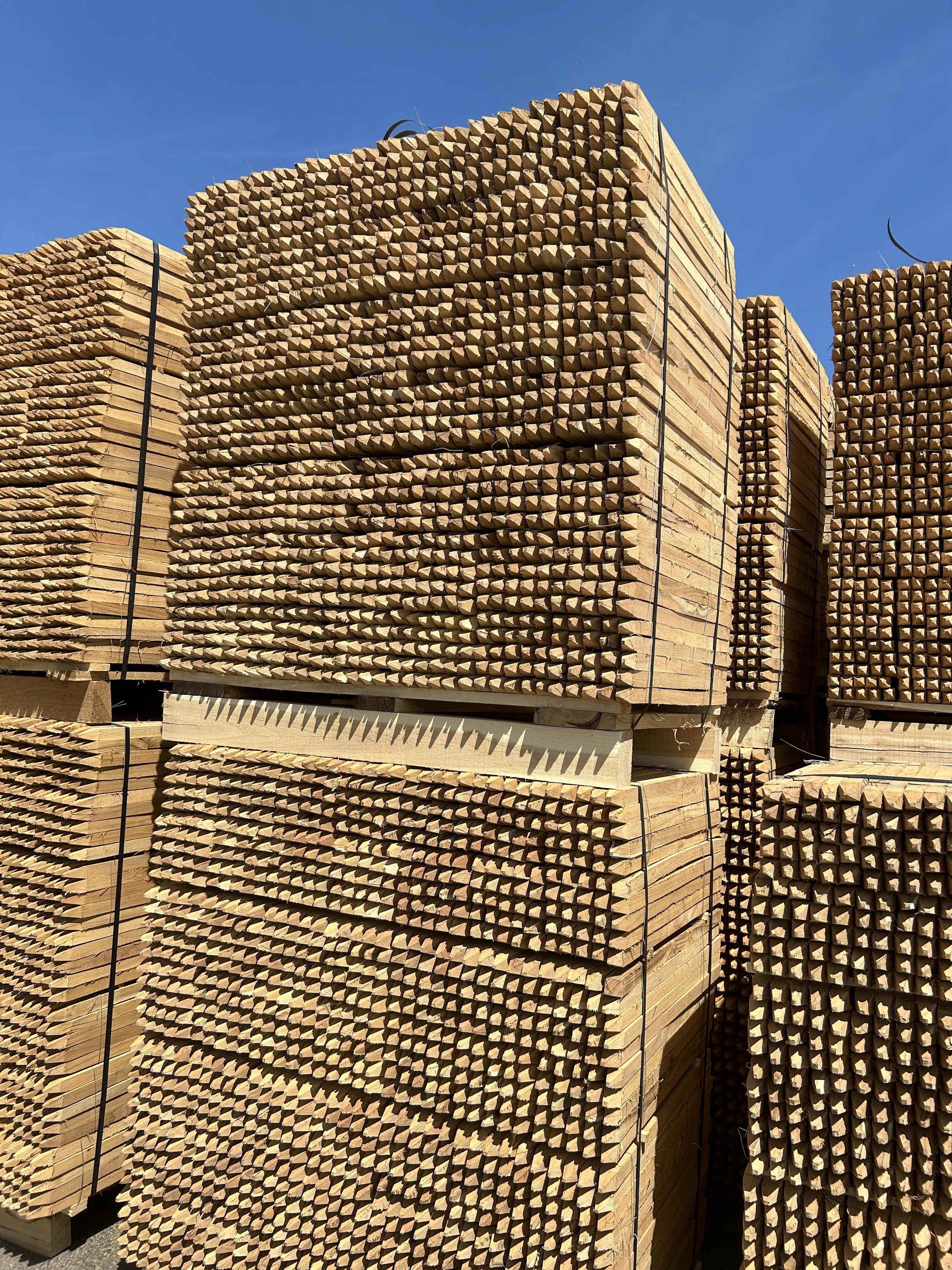 Stapel Robinienpfähle