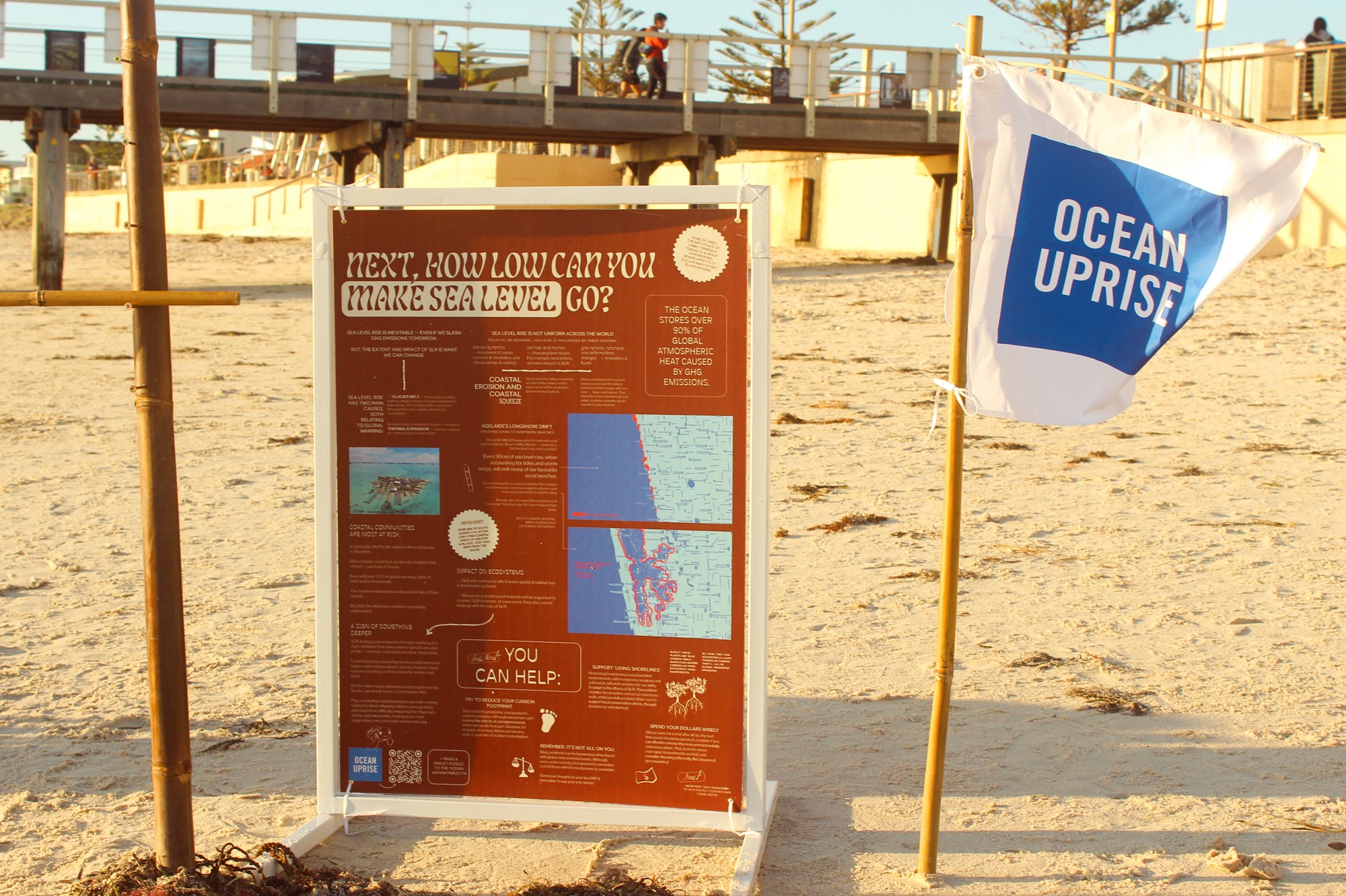 ocean uprise x parley for the oceans internship project - selina donohoe infographic