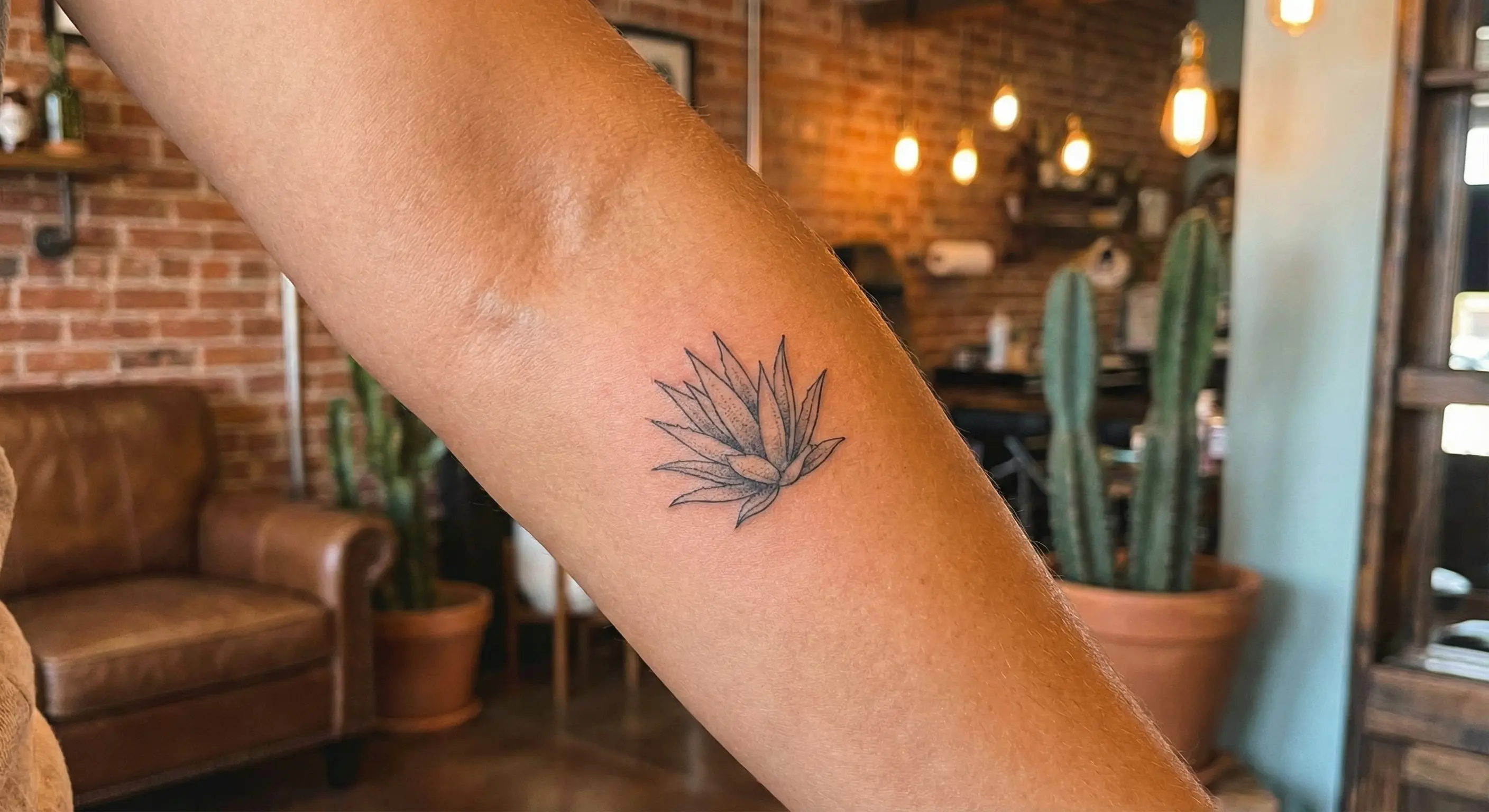 Fine line minimalist tattoo of a desert agave plant on a forearm, Grand Avenue Tattoo & Piercings Phoenix.