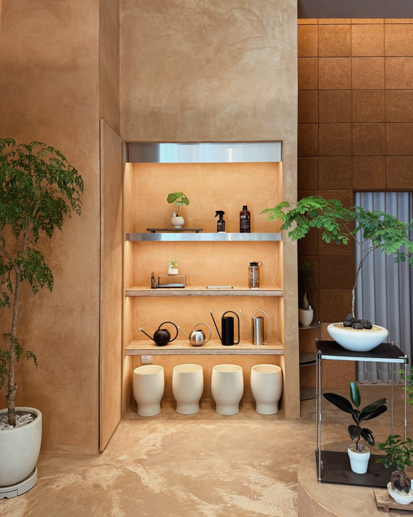 A beautifully designed interior space featuring textured beige walls, wooden shelves displaying various items, and potted plants. The arrangement includes decorative teapots, a small plant, and minimalistic white stools.