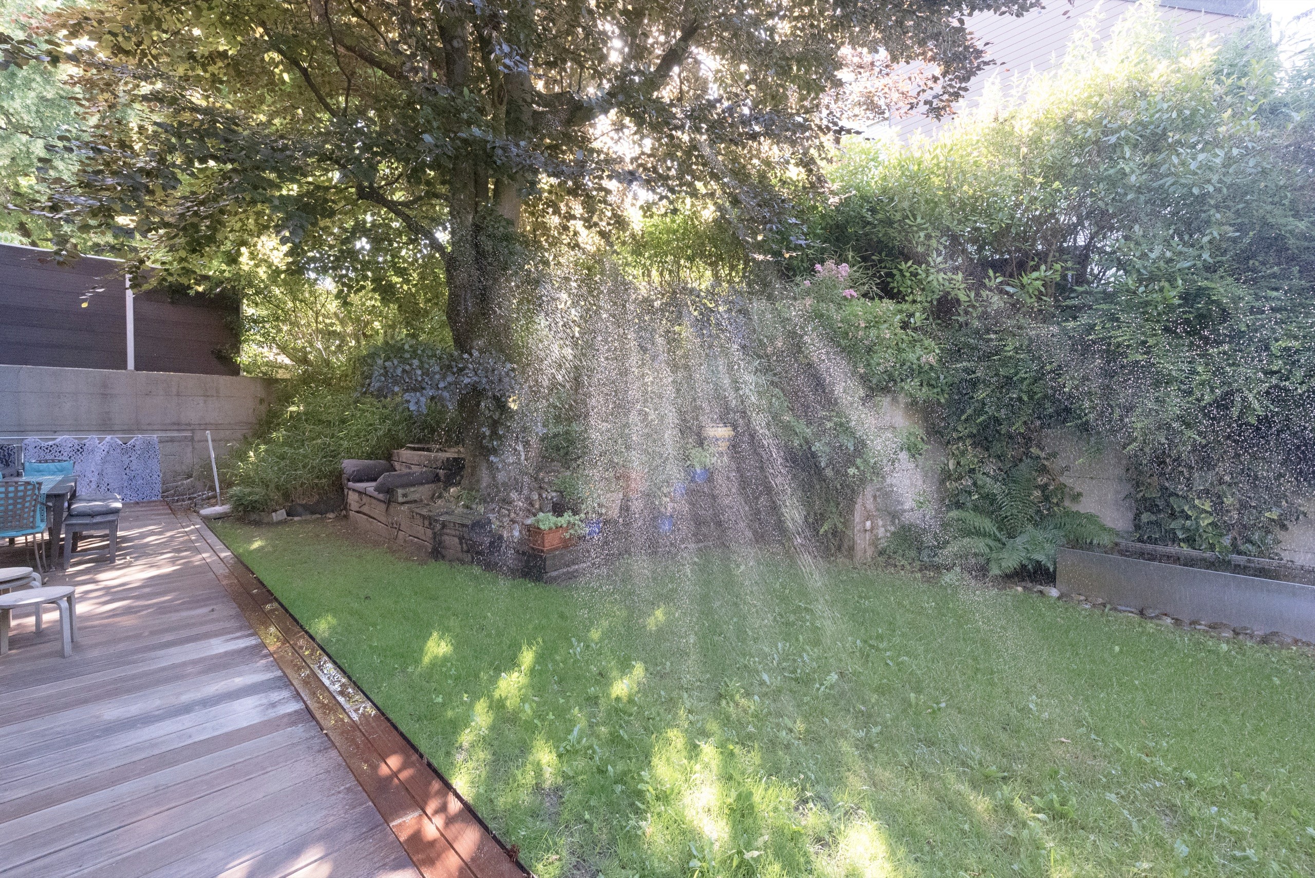 Jardin arrosé au petit matin, appartement de plain-pied à Cheseaux-sur-Lausanne