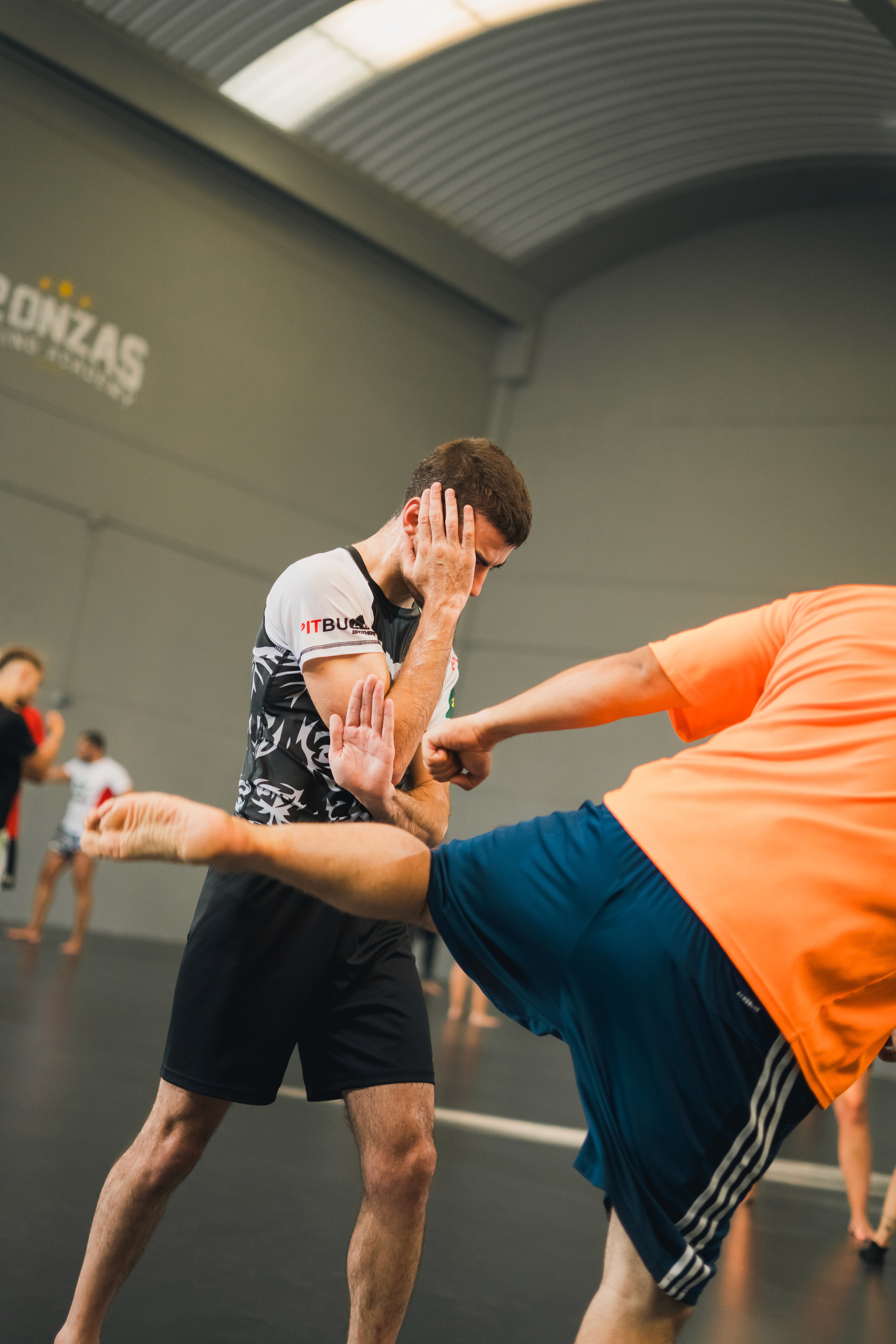 two person doing mix martial arts on white and blue stadium