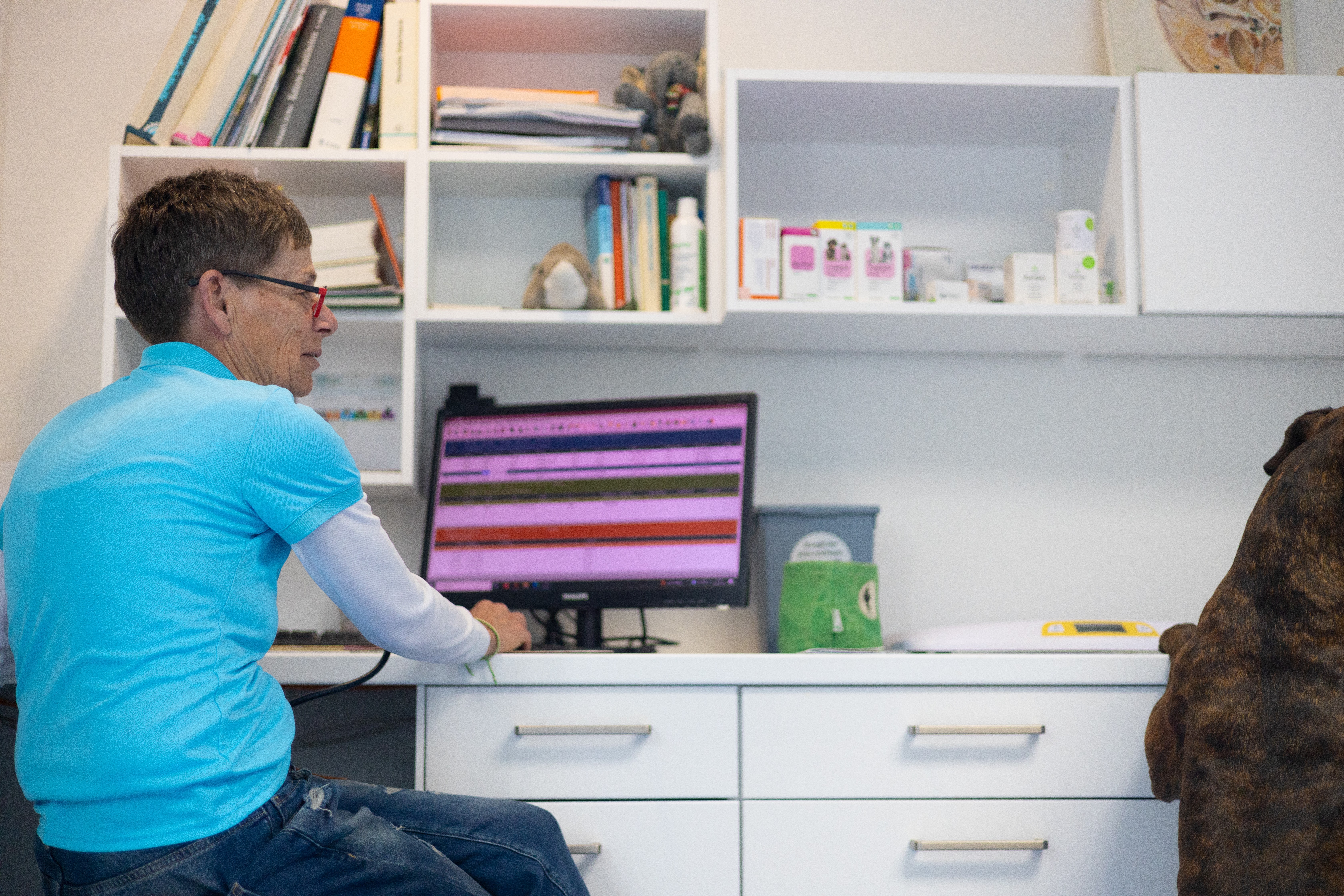 Eine Tierarztpraxis-Szene: Tierarzt mit roter Brille am Computer. Ein Hund steht daneben.