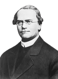 Black and white portrait of Gregor Mendel, the father of modern genetics, known for his groundbreaking work on inheritance patterns in pea plants. Mendel is depicted wearing glasses, a clerical collar, and a formal coat, reflecting his role as both a scientist and a monk.