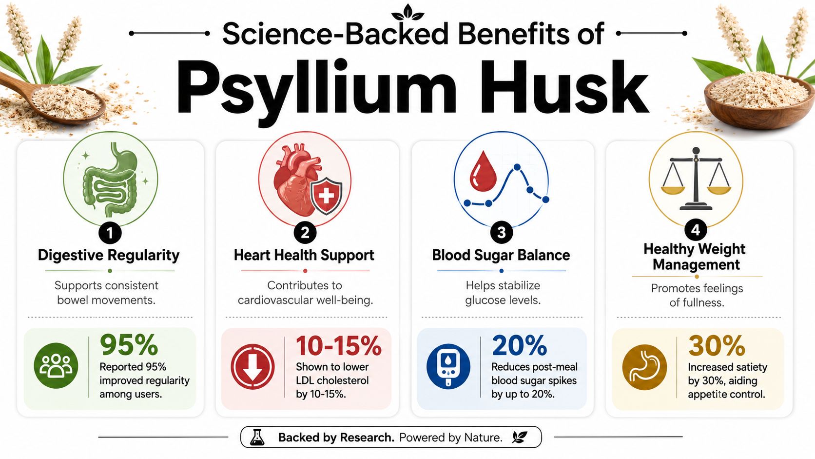 An infographic detailing the science-backed health benefits of psyllium husk, including digestion, heart health, and weight management.