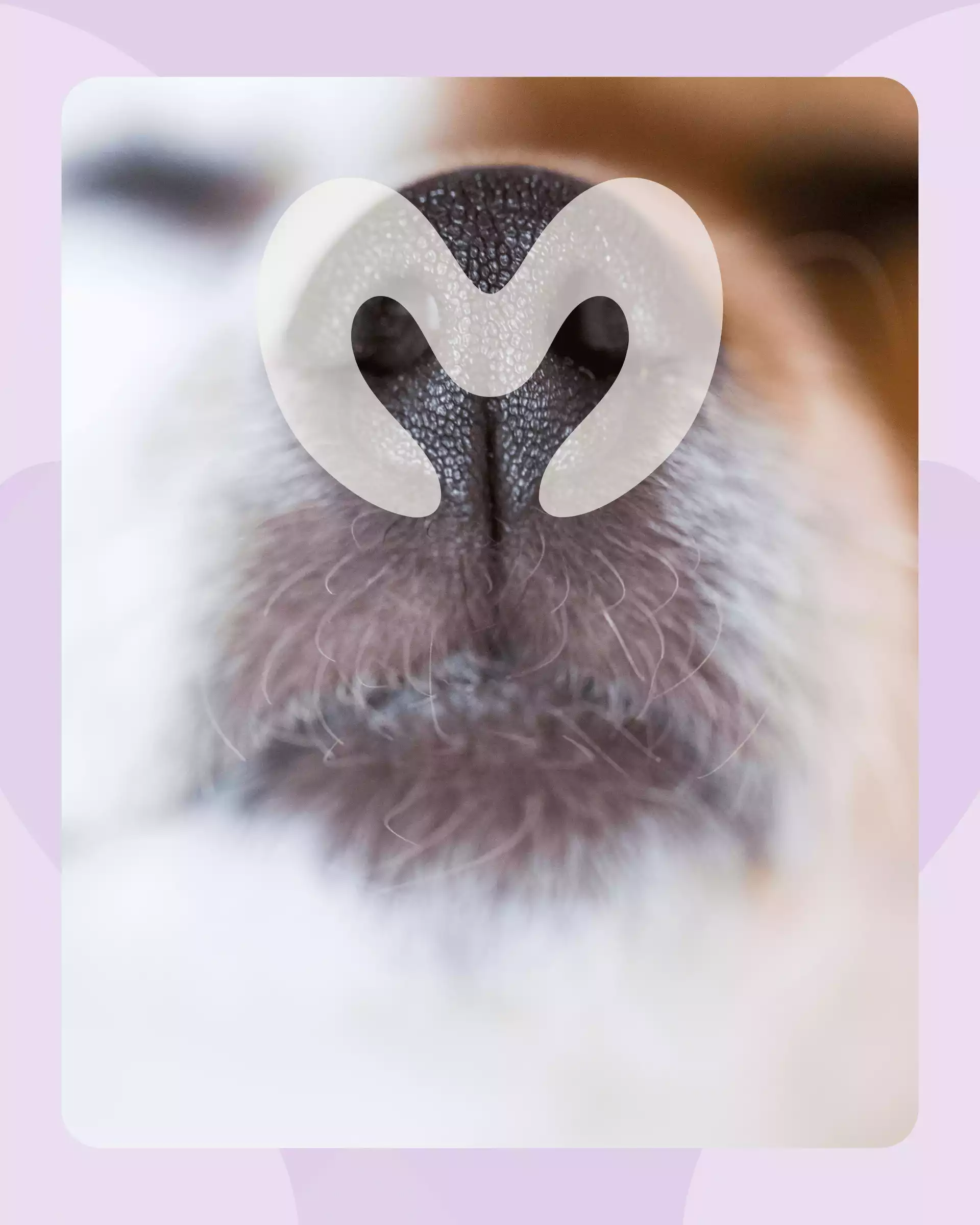 Icône de logo Manavibe créé par Coralie De Almeida, brand designer secteur animalier