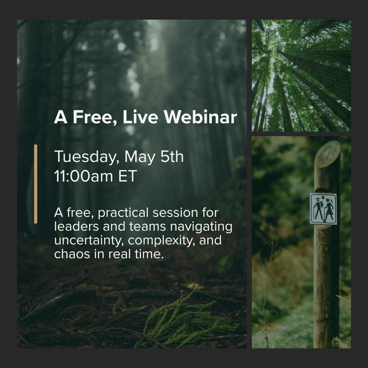 3 forest images with the text over them that says A Free live webinar Tuesday May 5th 11:00am ET A free, practical session for leaders and teams navigating uncertainty, complexity, and chaos in real time.
