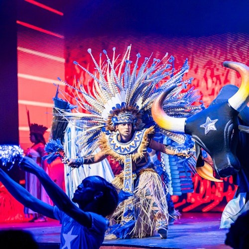 科帕卡巴纳里约热内卢：Roxy 晚餐秀门票