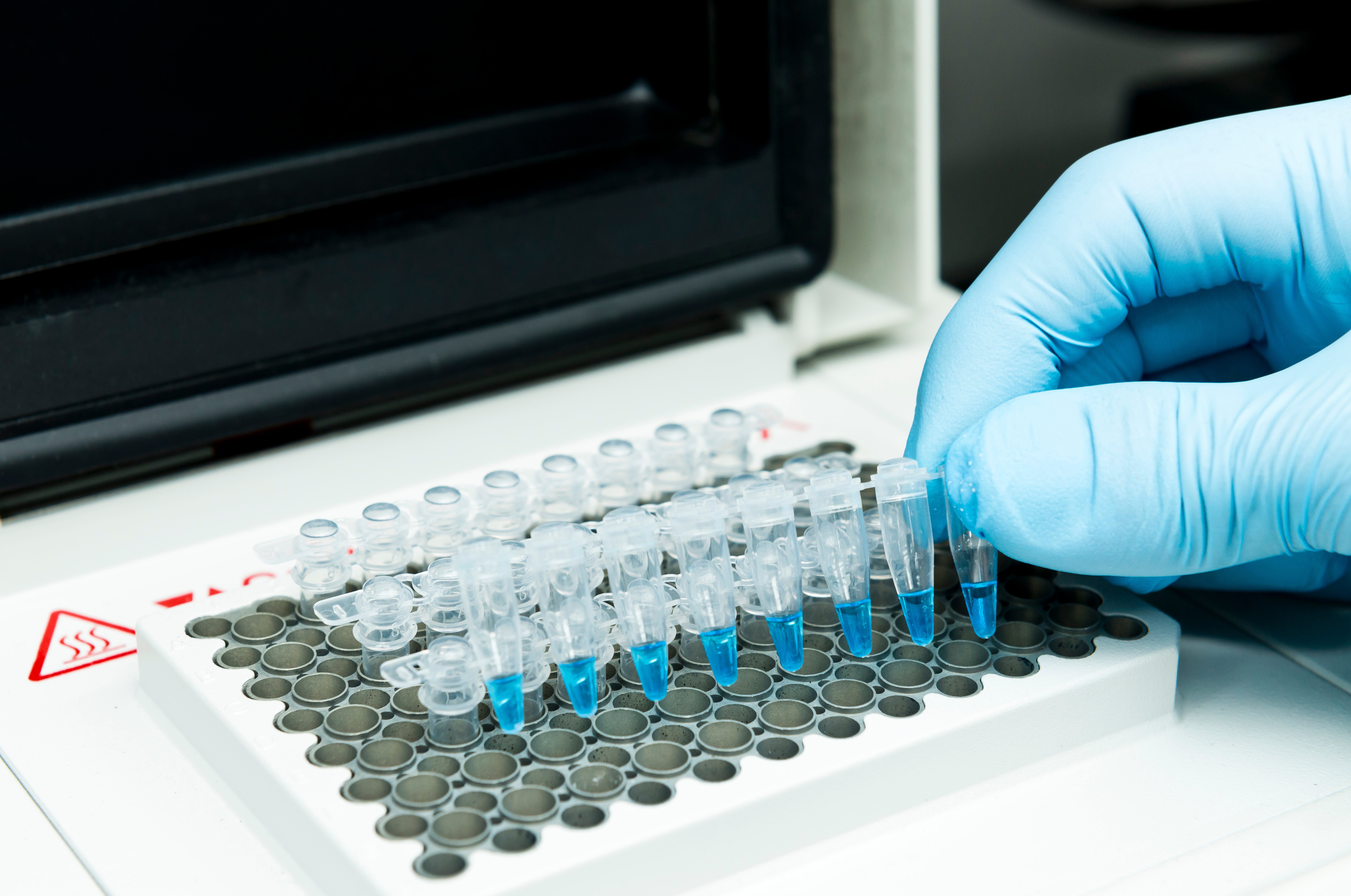 A hand wearing blue gloves placing several vials containing a light blue liquid into a vials tray. 