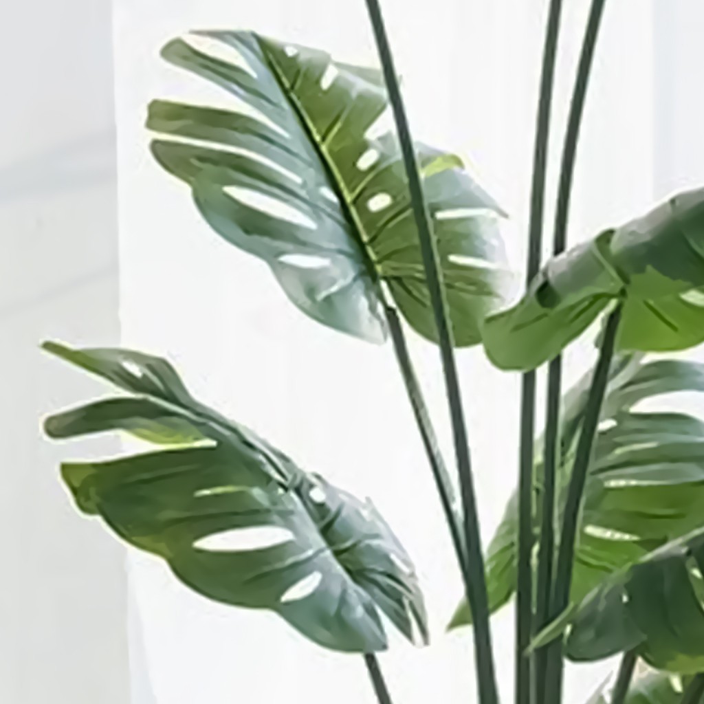 picture of plants and greenery