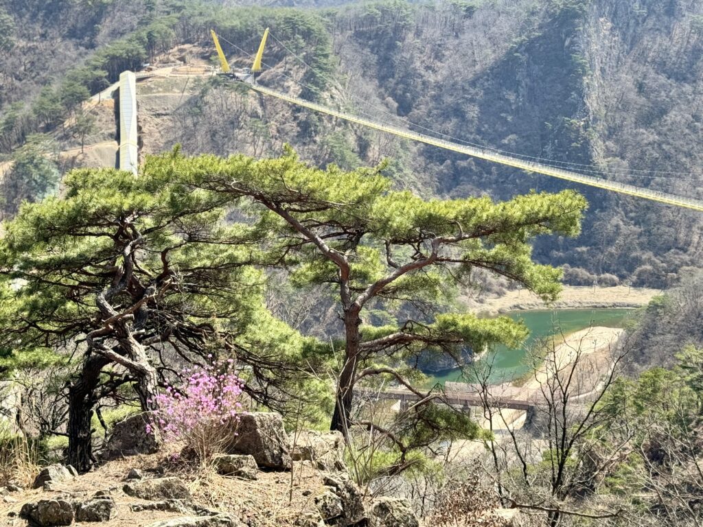 The Wonju glass bottom suspension bridge again