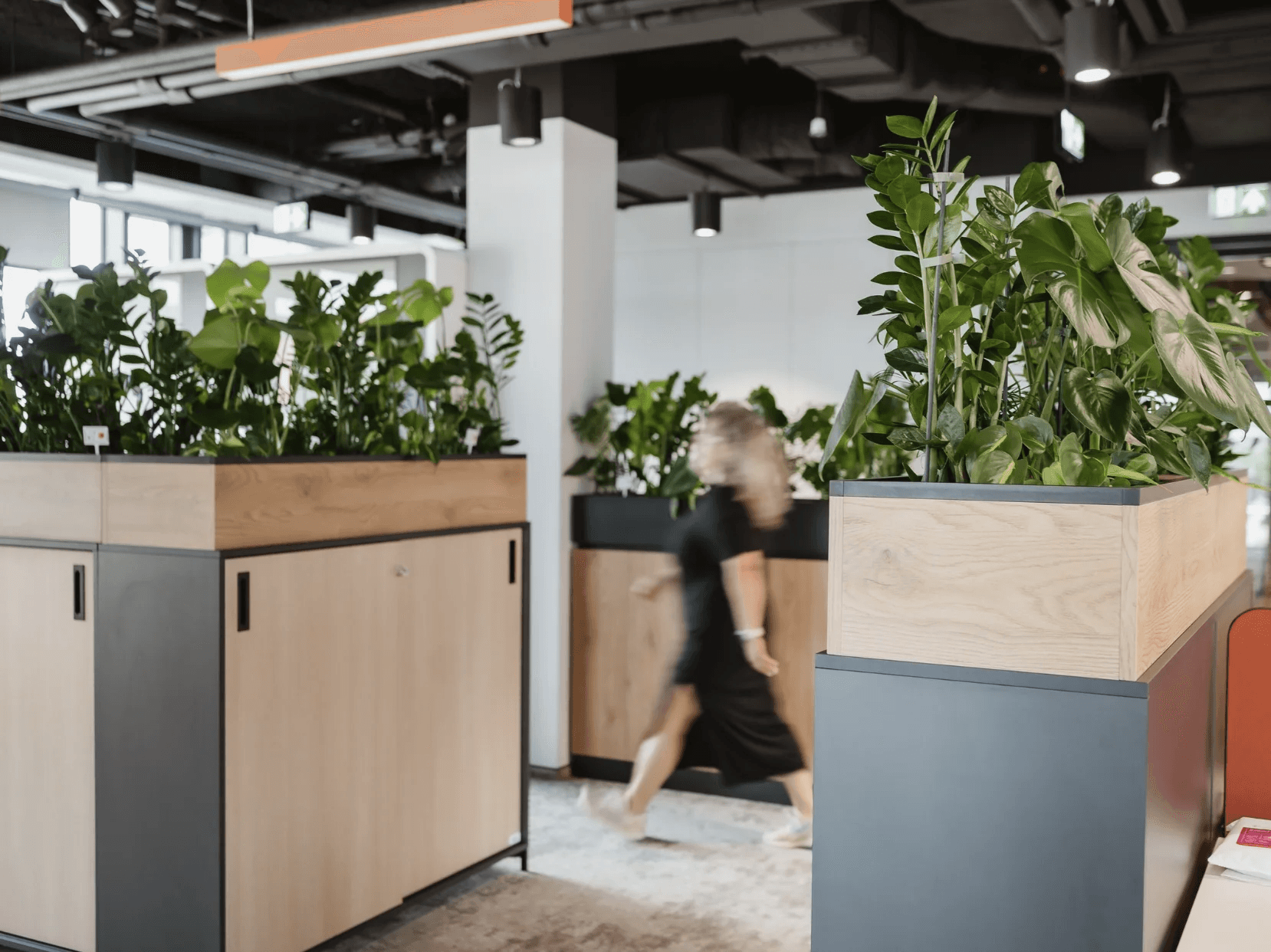 pokaz jednej z realizacji officejungle