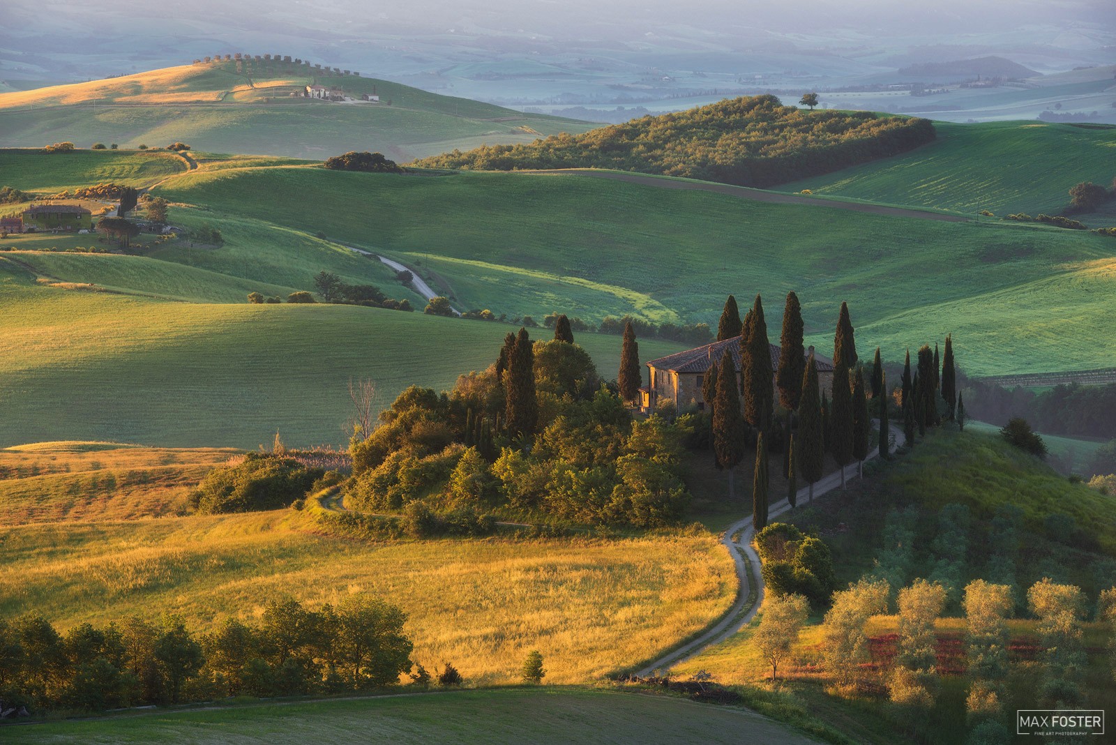Vineyard rows on a Tuscan hillside leading to a hilltop farmhouse