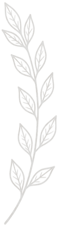 Hand-drawn botanical illustration for the Services page.