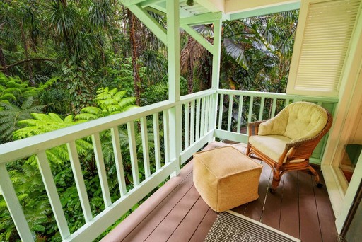 Kona Cloud Forest 2