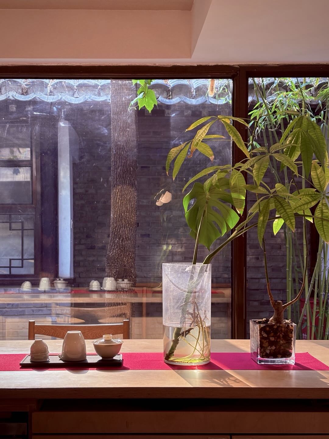 Plants and courtyard light seen through a window