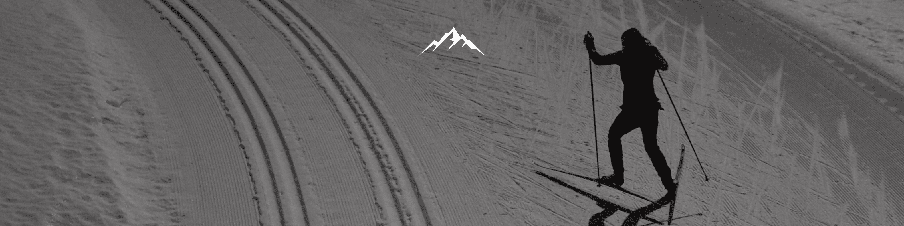 women doing ski-country training