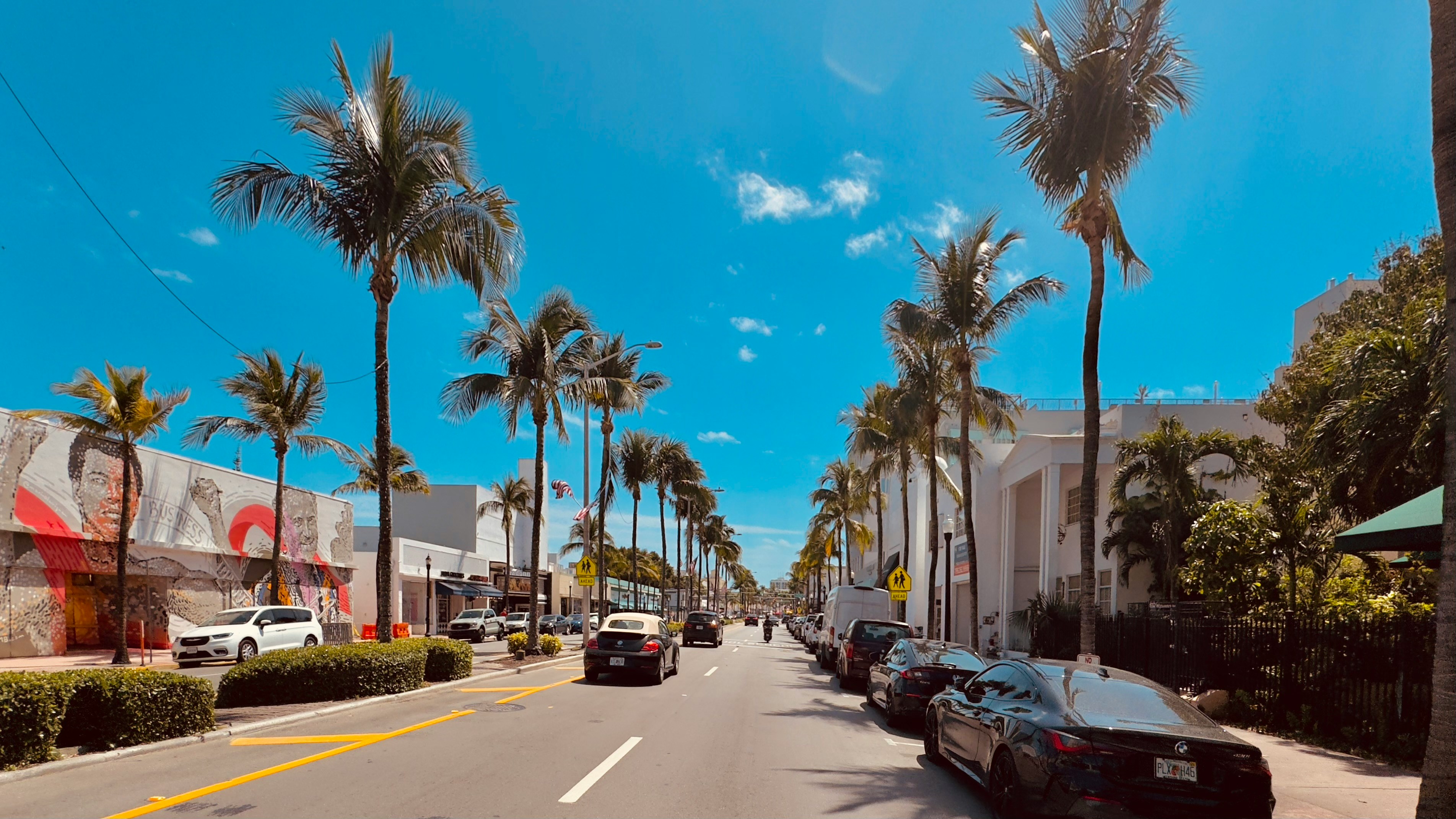 a street lined with palm trees and parked cars